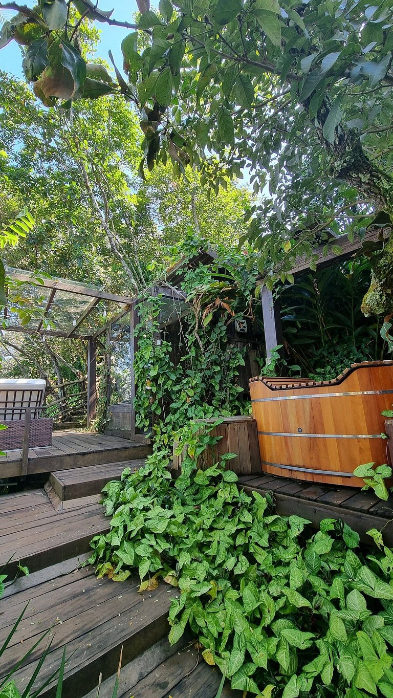 Cabana na árvore à beira do lago com vista incrível