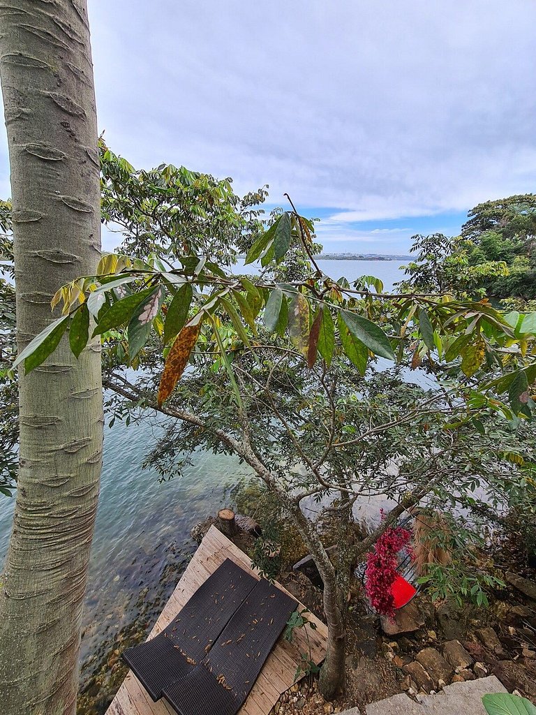 Cabana na árvore à beira do lago com vista incrível