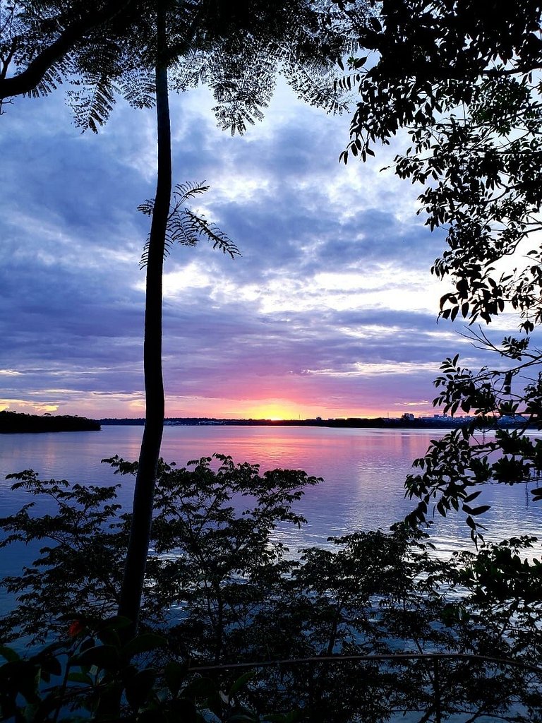 Cabana na árvore à beira do lago com vista incrível