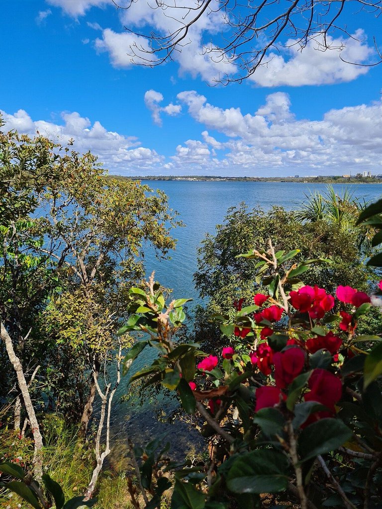Cabana na árvore à beira do lago com vista incrível