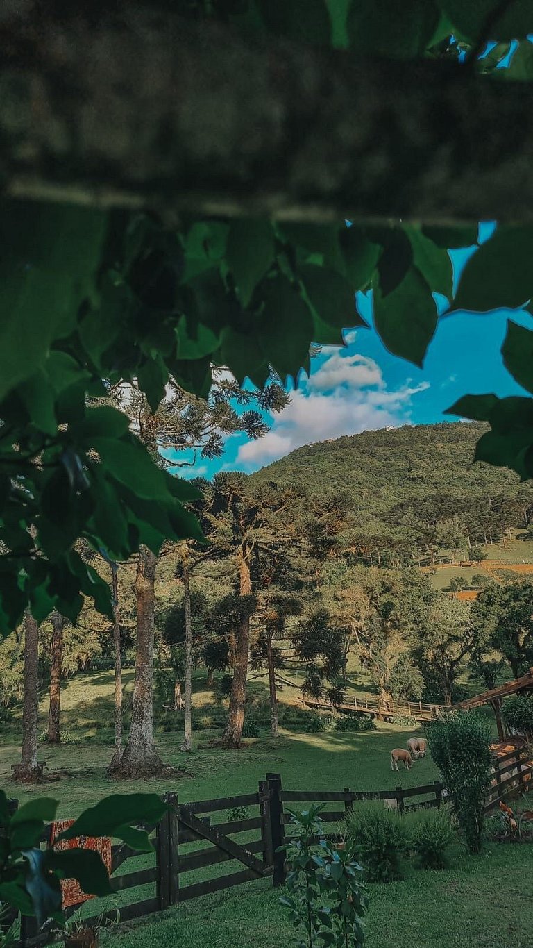 Casa histórica vista campo com banheira em Gramado