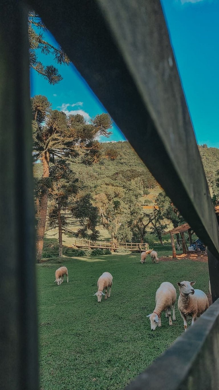 Casa histórica vista campo com banheira em Gramado
