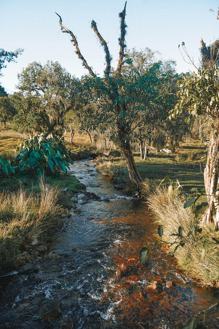 Casa histórica vista campo com banheira em Gramado