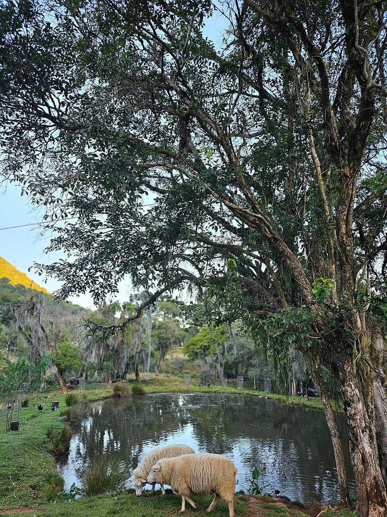 Casa do Celeiro vista lago, rio e cachoeira