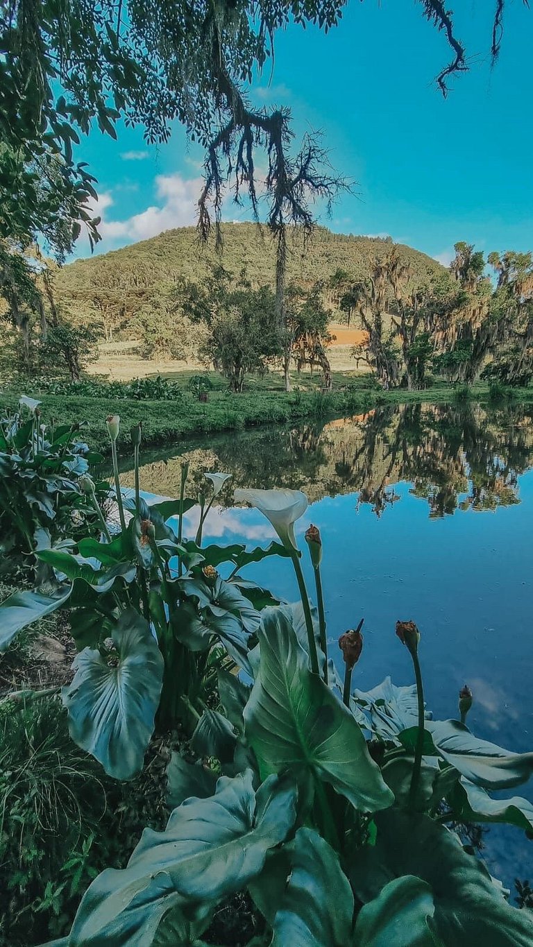 Casa histórica vista Vinhedo e lareira Gramado