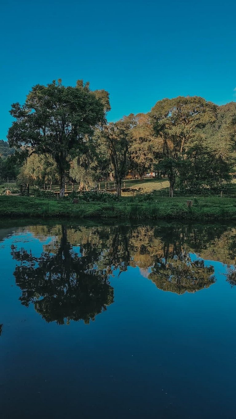 Casa histórica vista Vinhedo e lareira Gramado
