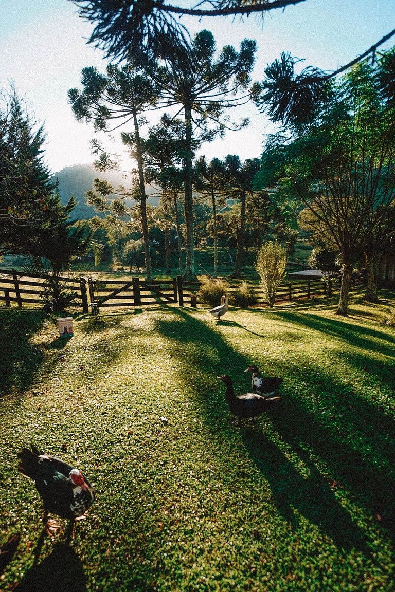 Casa histórica vista Vinhedo e lareira Gramado
