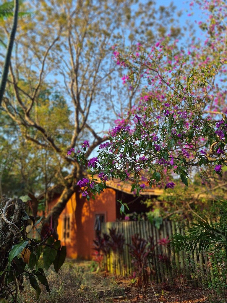 Casa térrea Park Way vista jardim 1 suíte