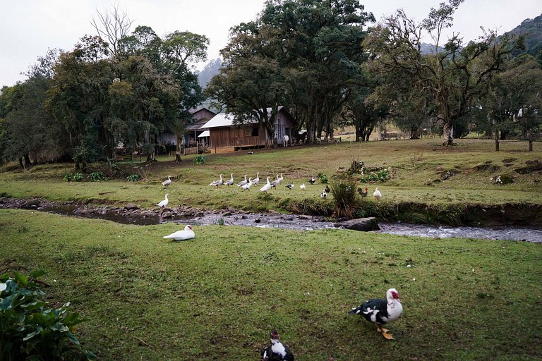Casa do Celeiro vista lago, rio e cachoeira